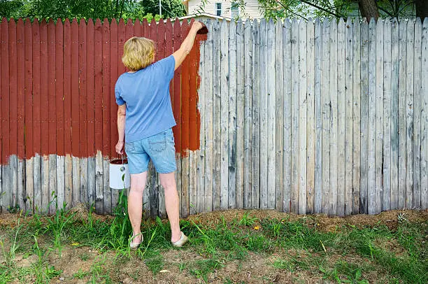 Fence Painting Ideas in Denver, CO